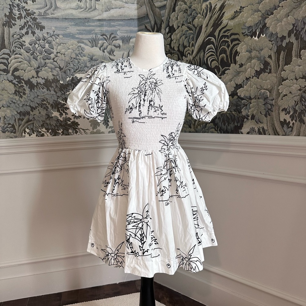 NWOT SWF printed puff sleeve mini dress